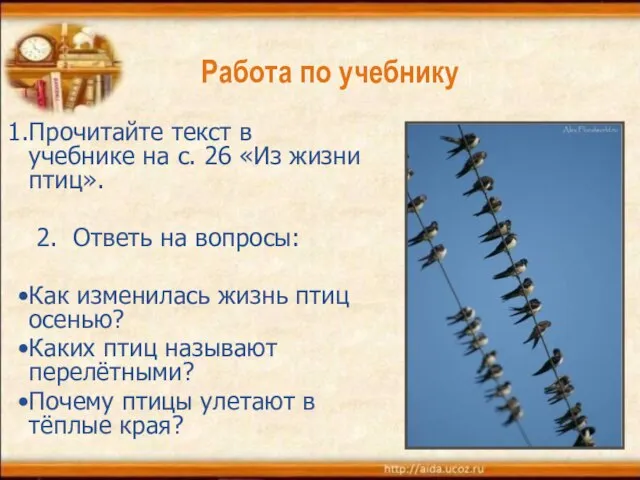 Работа по учебнику Прочитайте текст в учебнике на с. 26 «Из жизни