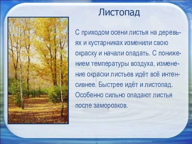 Листопад С приходом осени листья на деревь- ях и кустарниках изменили свою