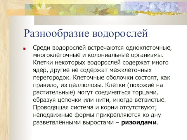 Разнообразие водорослей Среди водорослей встречаются одноклеточные, многоклеточные и колониальные организмы. Клетки некоторых