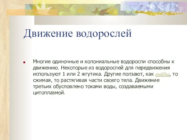 Движение водорослей Многие одиночные и колониальные водоросли способны к движению. Некоторые из