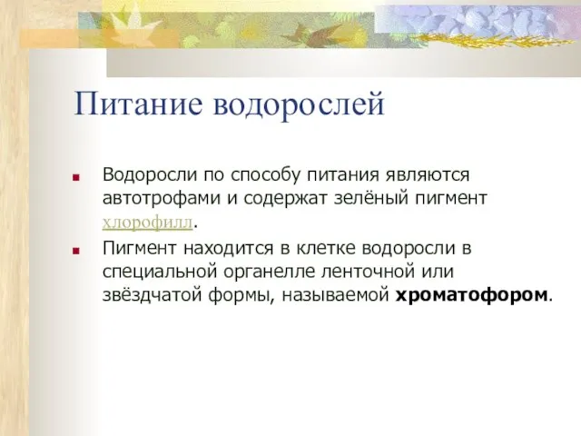 Питание водорослей Водоросли по способу питания являются автотрофами и содержат зелёный пигмент