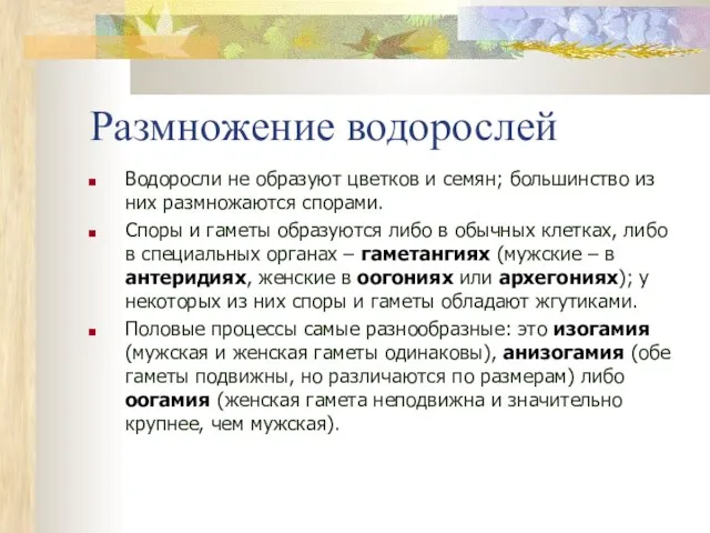 Размножение водорослей Водоросли не образуют цветков и семян; большинство из них размножаются