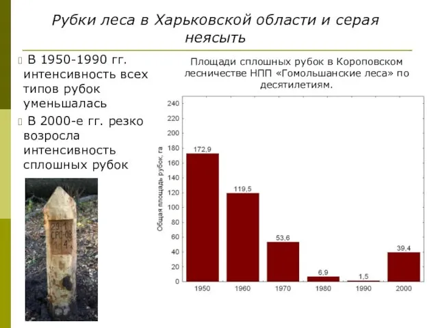 Рубки леса в Харьковской области и серая неясыть В 1950-1990 гг. интенсивность