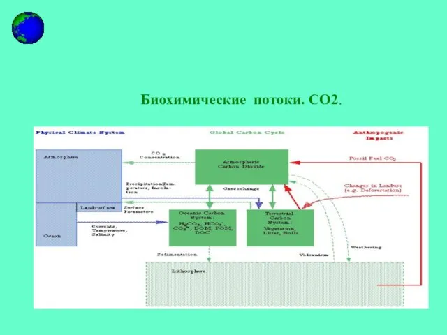 Биохимические потоки. CO2.