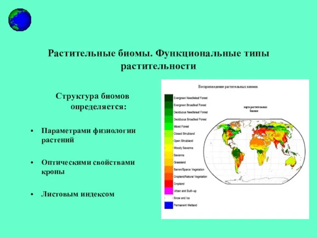 Растительные биомы. Функциональные типы растительности Структура биомов определяется: Параметрами физиологии растений Оптическими свойствами кроны Листовым индексом