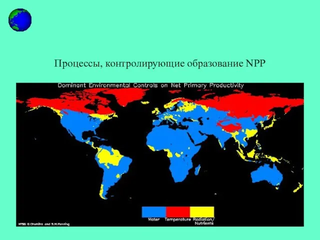 Процессы, контролирующие образование NPP