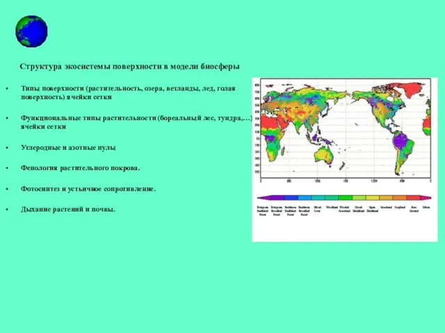 Структура экосистемы поверхности в модели биосферы Типы поверхности (растительность, озера, ветланды, лед,