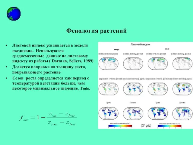 Фенология растений Листовой индекс усваивается в модели ежедневно. Используются среднемесячные данные по