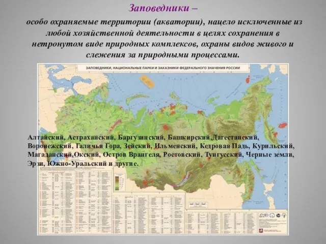 Заповедники – особо охраняемые территории (акватории), нацело исключенные из любой хозяйственной деятельности