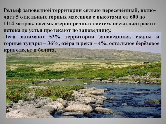 Рельеф заповедной территории сильно пересечённый, вклю- чает 5 отдельных горных массивов с