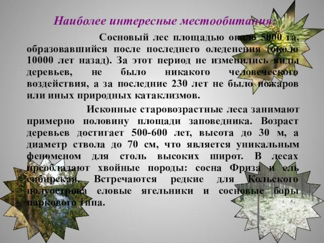 Наиболее интересные местообитания: Сосновый лес площадью около 5000 га, образовавшийся после последнего