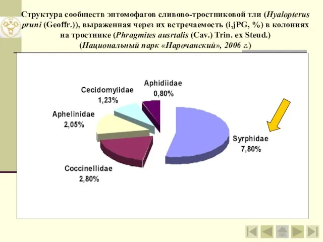 Структура сообществ энтомофагов сливово-тростниковой тли (Hyalopterus pruni (Geoffr.)), выраженная через их встречаемость