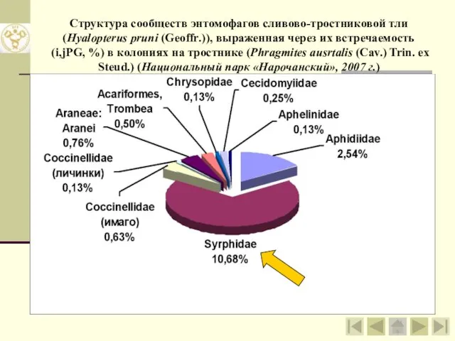 Структура сообществ энтомофагов сливово-тростниковой тли (Hyalopterus pruni (Geoffr.)), выраженная через их встречаемость