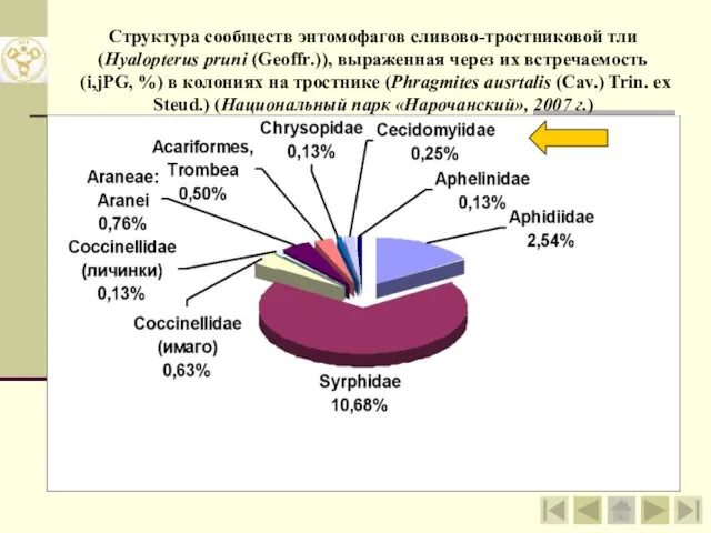 Структура сообществ энтомофагов сливово-тростниковой тли (Hyalopterus pruni (Geoffr.)), выраженная через их встречаемость