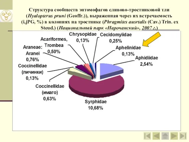 Структура сообществ энтомофагов сливово-тростниковой тли (Hyalopterus pruni (Geoffr.)), выраженная через их встречаемость