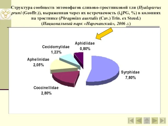 Структура сообществ энтомофагов сливово-тростниковой тли (Hyalopterus pruni (Geoffr.)), выраженная через их встречаемость