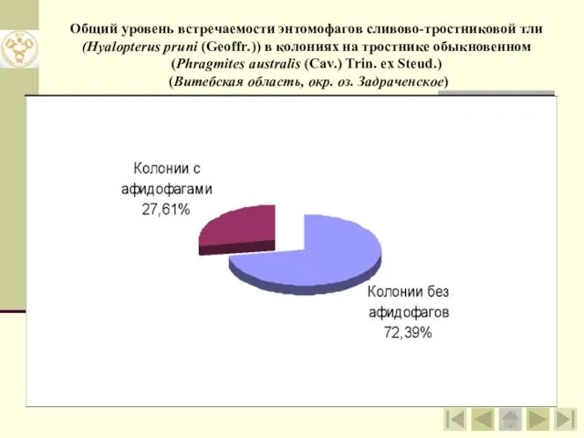 Общий уровень встречаемости энтомофагов сливово-тростниковой тли (Hyalopterus pruni (Geoffr.)) в колониях на