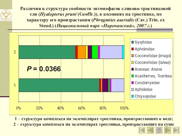 Различия в структуре сообществ энтомофагов сливово-тростниковой тли (Hyalopterus pruni (Geoffr.)), в колониях