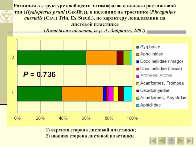 Различия в структуре сообществ энтомофагов сливово-тростниковой тли (Hyalopterus pruni (Geoffr.)), в колониях