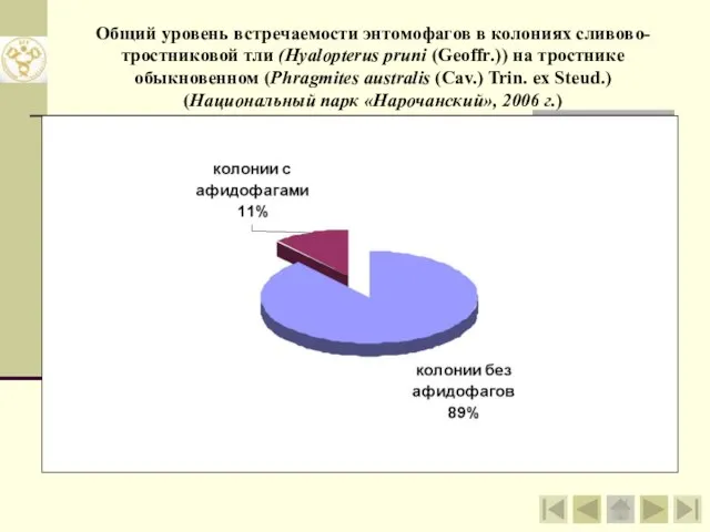 Общий уровень встречаемости энтомофагов в колониях сливово-тростниковой тли (Hyalopterus pruni (Geoffr.)) на