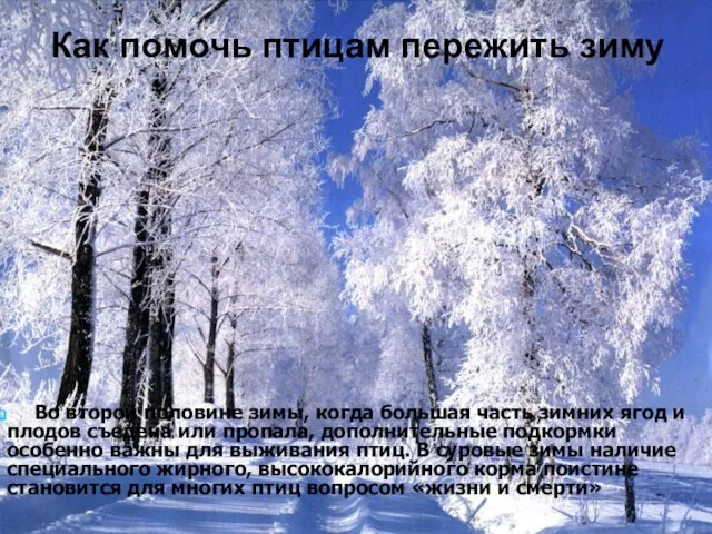 Как помочь птицам пережить зиму Во второй половине зимы, когда большая часть