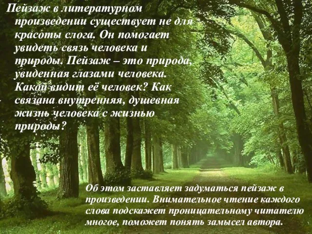 Пейзаж в литературном произведении существует не для красоты слога. Он помогает увидеть