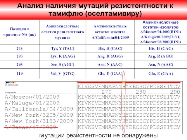 Анализ наличия мутаций резистентности к тамифлю (оcелтамивиру) Мутации резистентности не обнаружены