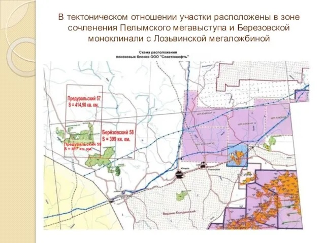 В тектоническом отношении участки расположены в зоне сочленения Пелымского мегавыступа и Березовской моноклинали с Лозьвинской мегаложбиной