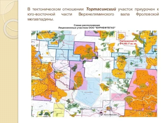 В тектоническом отношении Тортасинский участок приурочен к юго-восточной части Верхнеляминского вала Фроловской мегавпадины.