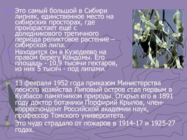 13 февраля 1952 года приказом Министерства лесного хозяйства Липовый остров стал первым