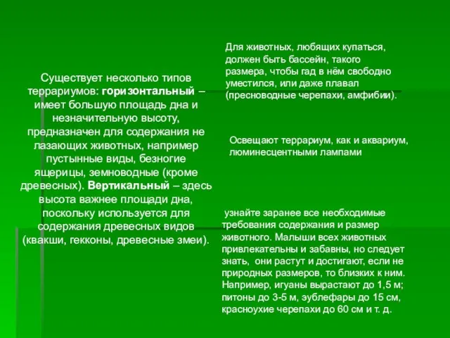 Существует несколько типов террариумов: горизонтальный – имеет большую площадь дна и незначительную