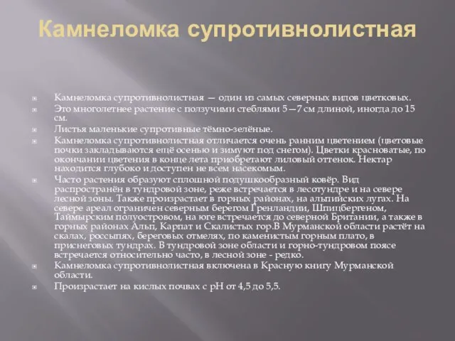 Камнеломка супротивнолистная Камнеломка супротивнолистная — один из самых северных видов цветковых. Это