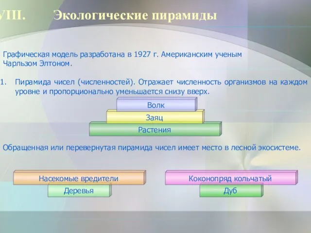 Экологические пирамиды Графическая модель разработана в 1927 г. Американским ученым Чарльзом Элтоном.