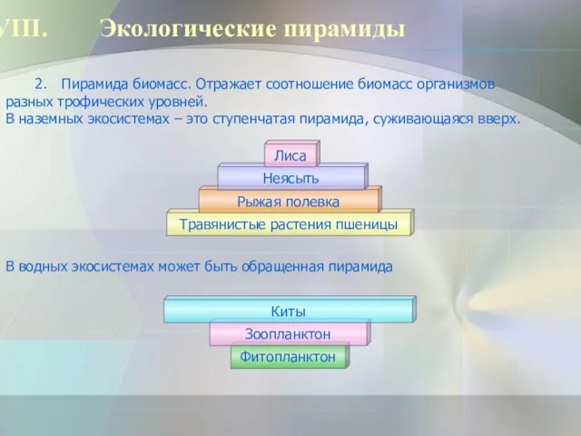 Фитопланктон Зоопланктон Экологические пирамиды Пирамида биомасс. Отражает соотношение биомасс организмов разных трофических