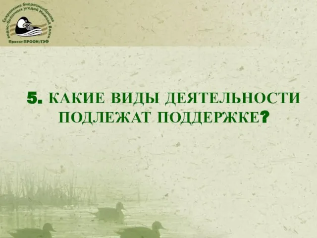 5. КАКИЕ ВИДЫ ДЕЯТЕЛЬНОСТИ ПОДЛЕЖАТ ПОДДЕРЖКЕ?