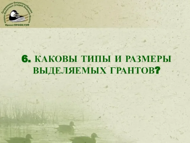 6. КАКОВЫ ТИПЫ И РАЗМЕРЫ ВЫДЕЛЯЕМЫХ ГРАНТОВ?