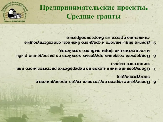 Предпринимательские проекты. Средние гранты 6. Проведение курсов подготовки гидов-проводников и экскурсоводов; 7.