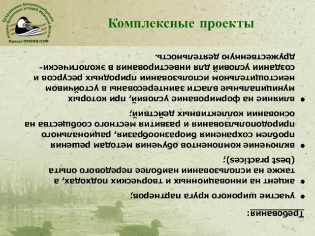 Комплексные проекты Требования: участие широкого круга партнеров; акцент на инновационных и творческих