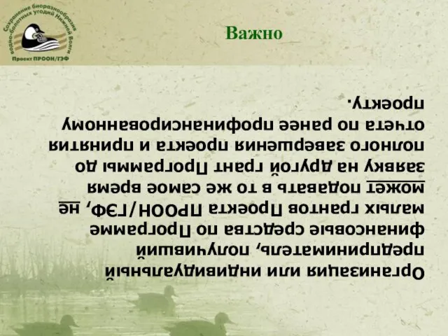 Организация или индивидуальный предприниматель, получивший финансовые средства по Программе малых грантов Проекта