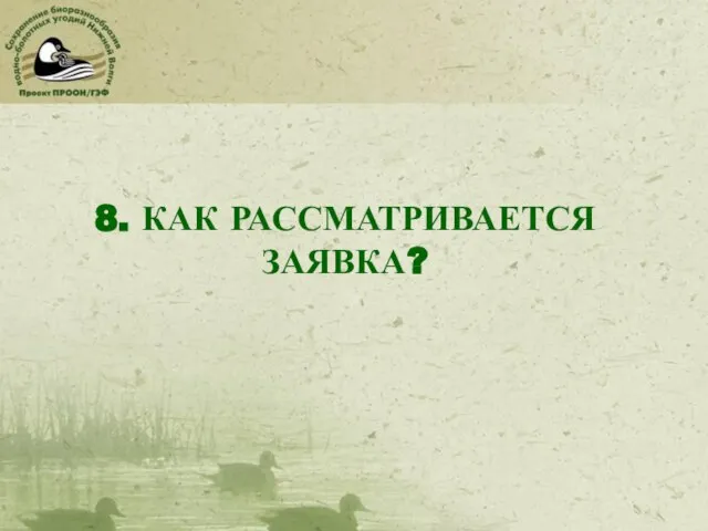 8. КАК РАССМАТРИВАЕТСЯ ЗАЯВКА?