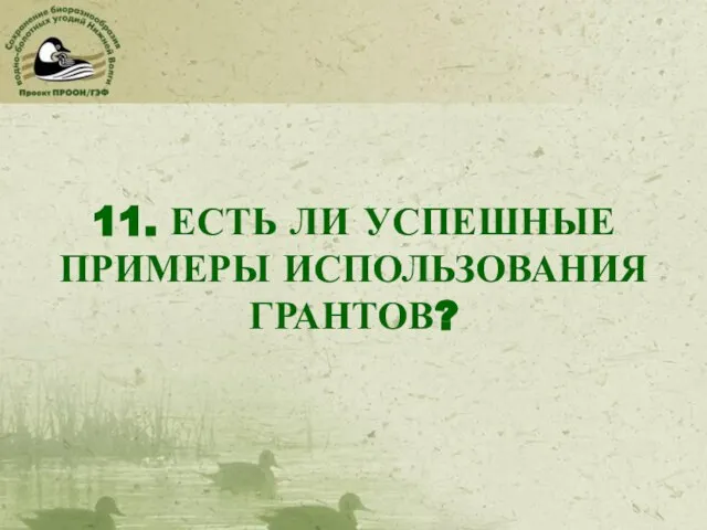 11. ЕСТЬ ЛИ УСПЕШНЫЕ ПРИМЕРЫ ИСПОЛЬЗОВАНИЯ ГРАНТОВ?