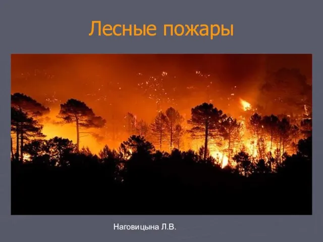 Наговицына Л.В. Лесные пожары