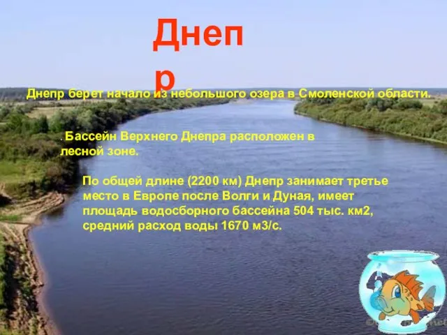 . Бассейн Верхнего Днепра расположен в лесной зоне. Днепр Днепр берет начало