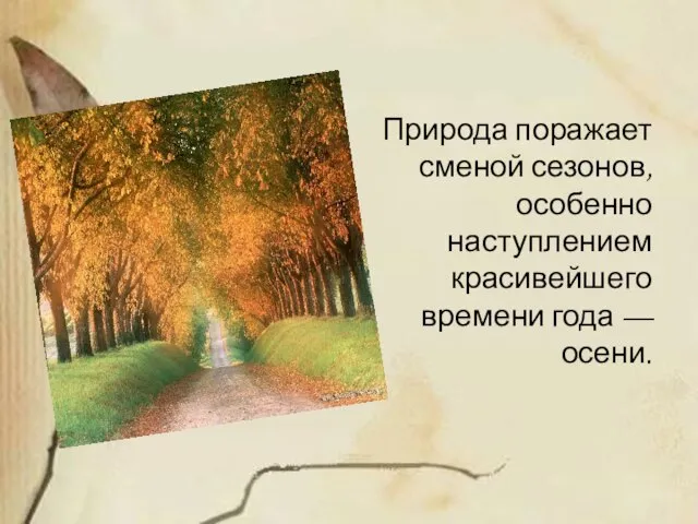 Природа поражает сменой сезонов, особенно наступлением красивейшего времени года — осени.