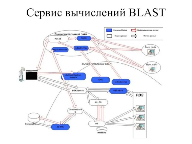 Сервис вычислений BLAST