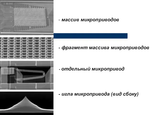 массив микроприводов фрагмент массива микроприводов отдельный микропривод игла микропривода (вид сбоку)