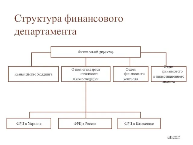 Структура финансового департамента Финансовый директор Отдел стандартов отчетности и консолидации Казначейство Холдинга