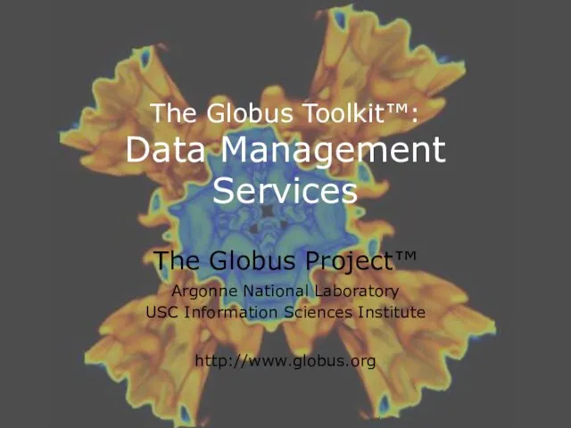 The Globus Toolkit™: Data Management Services The Globus Project™ Argonne National Laboratory