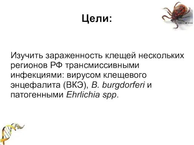 Цели: Изучить зараженность клещей нескольких регионов РФ трансмиссивными инфекциями: вирусом клещевого энцефалита