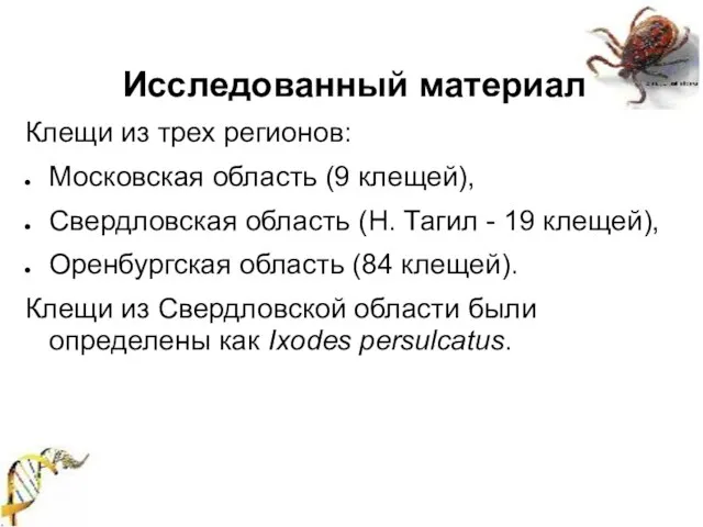 Исследованный материал Клещи из трех регионов: Московская область (9 клещей), Свердловская область